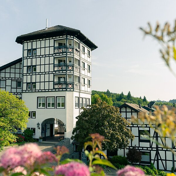 Fachwerkhaus mit turmartigem Gebäude im Grünen