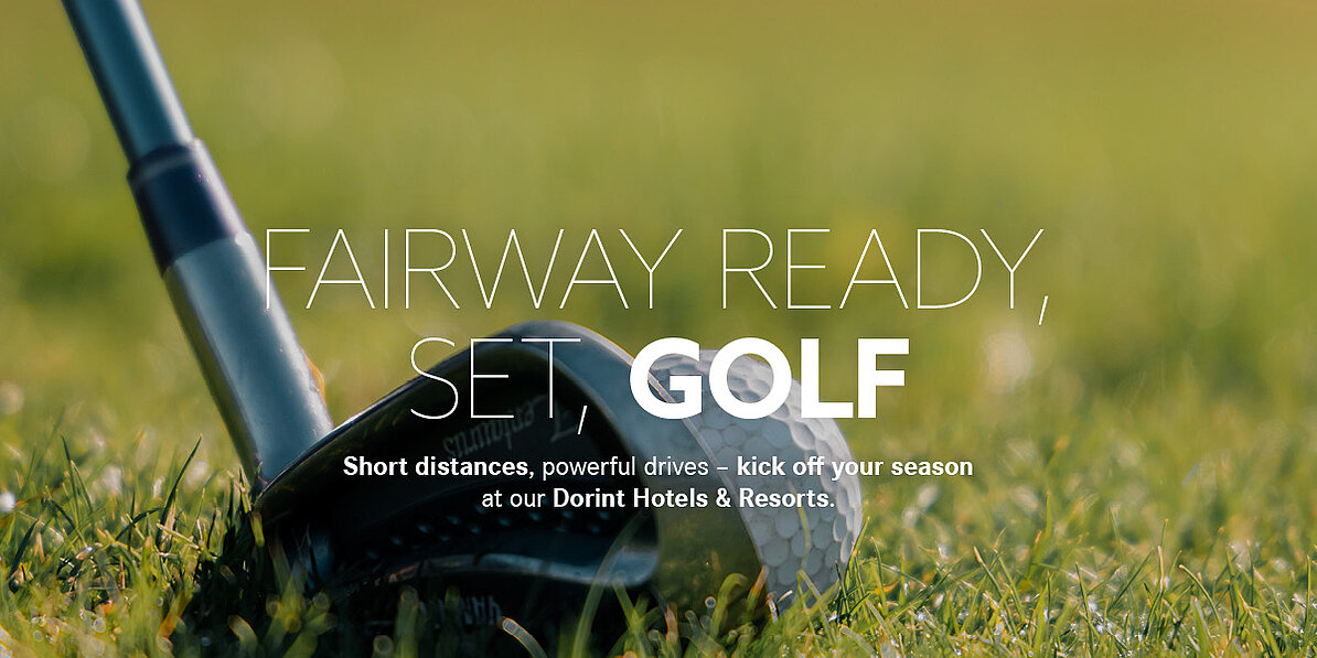 Close-up of a golf club and ball on the green