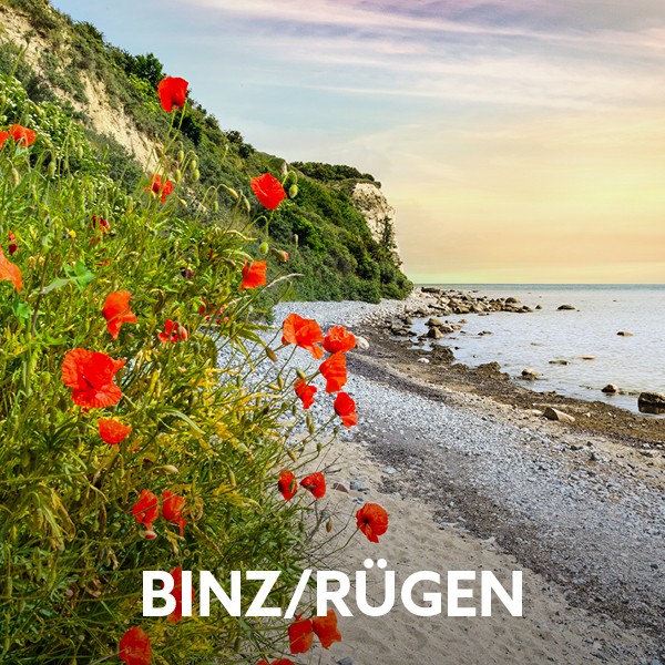 Sandy and pebble beach along the coast, with chalk cliffs and poppies