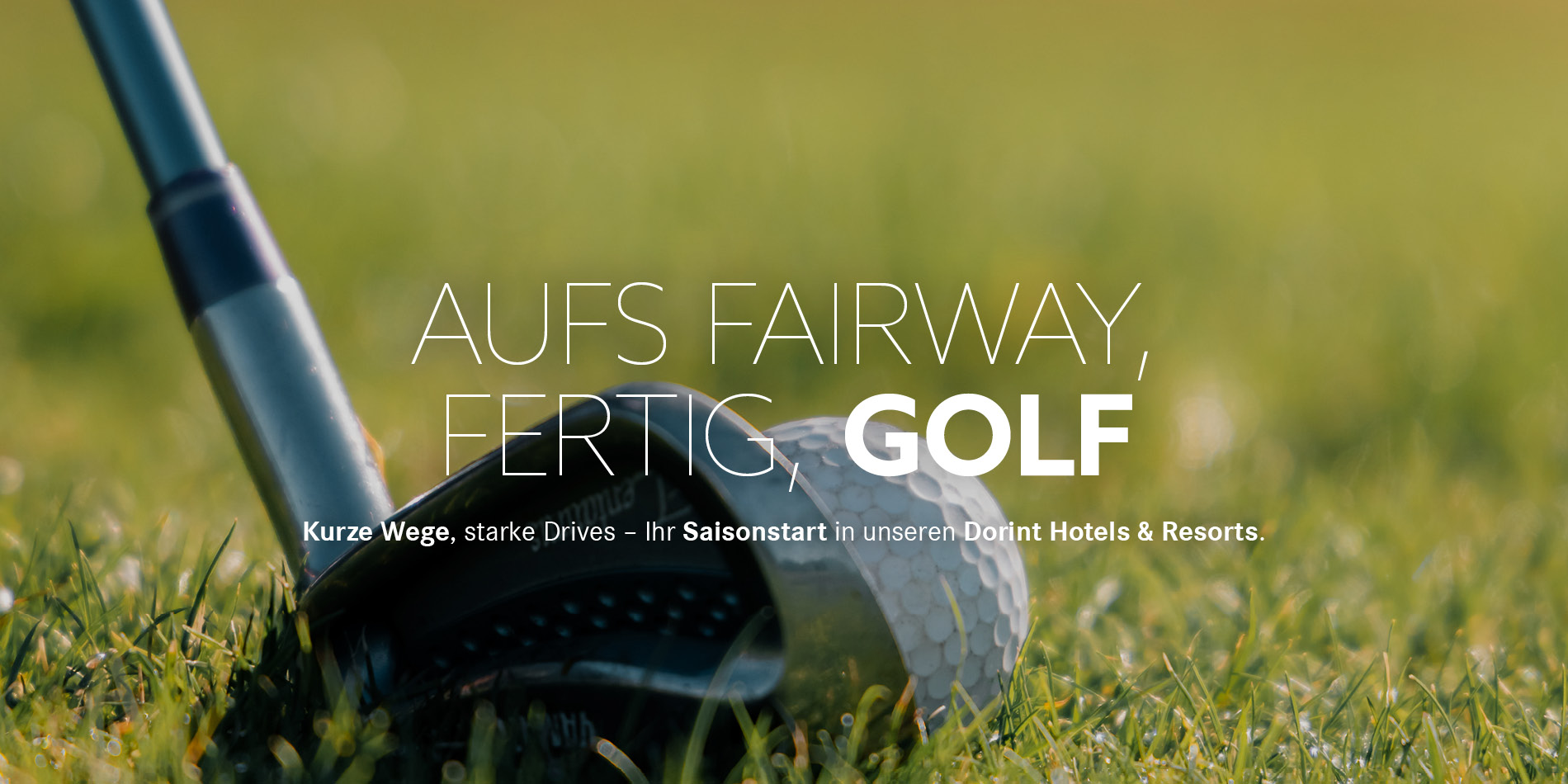 Golfschläger und Ball in Nahaufnahme auf dem Grün