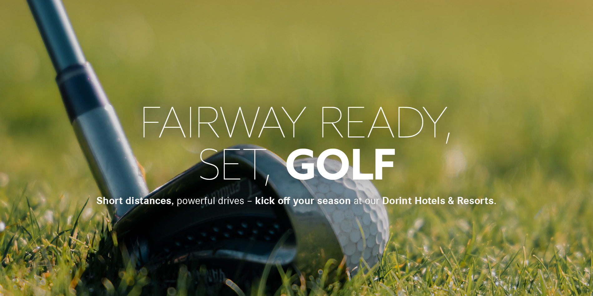 Close-up of a golf club and ball on the green