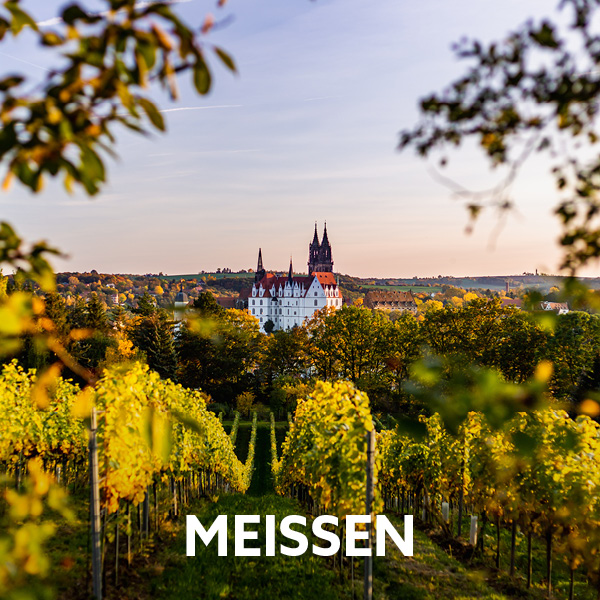 Autumn vineyards with views of the historic town of Meissen. Active holidays with hiking, cycling and nature experiences in a diverse landscape.