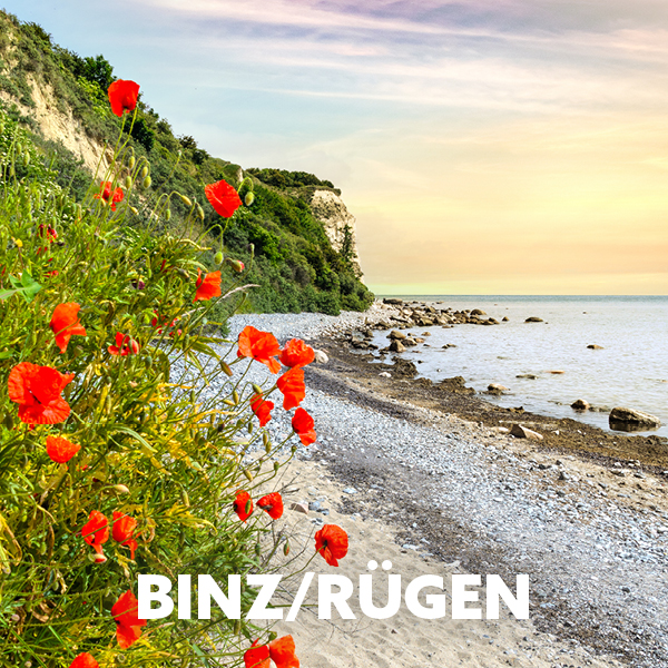 Das Bild zeigt eine friedliche Küstenlandschaft in Binz auf Rügen, mit leuchtend roten Mohnblumen im Vordergrund und einer malerischen Kreideküste im Hintergrund.