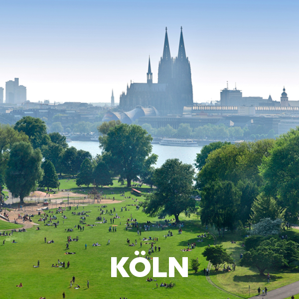 Das Bild zeigt eine weitläufige Parklandschaft in Köln mit dem Kölner Dom im Hintergrund.