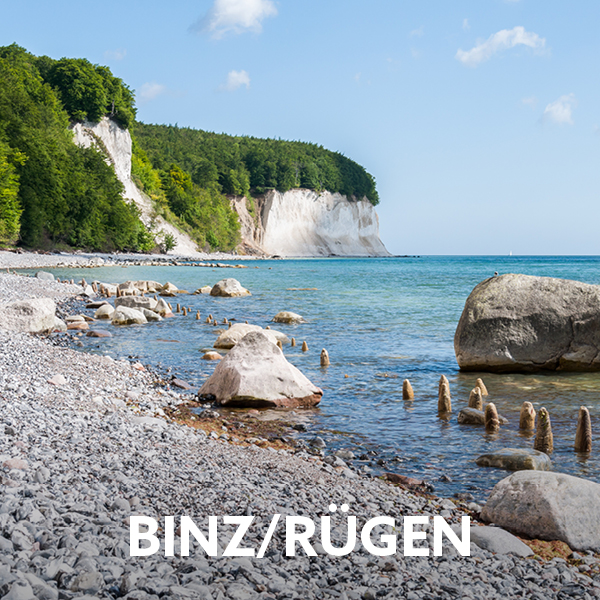 Das Bild zeigt eine idyllische Küstenlandschaft in Binz auf Rügen mit weißen Kreidefelsen, die von grünem Wald bedeckt sind, und einem Kiesstrand, der von großen Steinen und im Wasser stehenden Holzpfählen gesäumt wird.