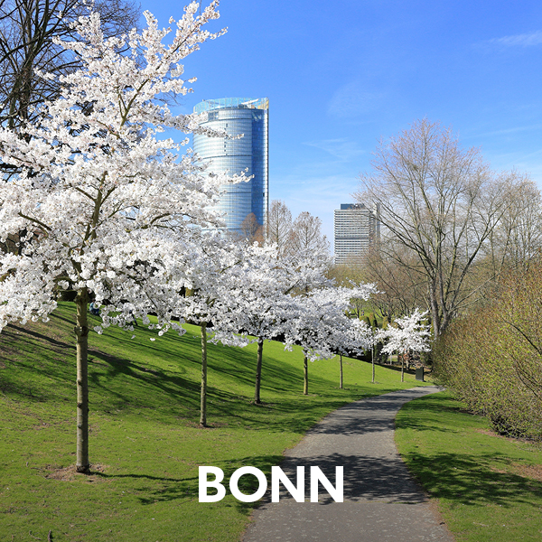 Das Bild zeigt eine idyllische Parklandschaft in Bonn mit blühenden Kirschbäumen und modernen Hochhäusern im Hintergrund.